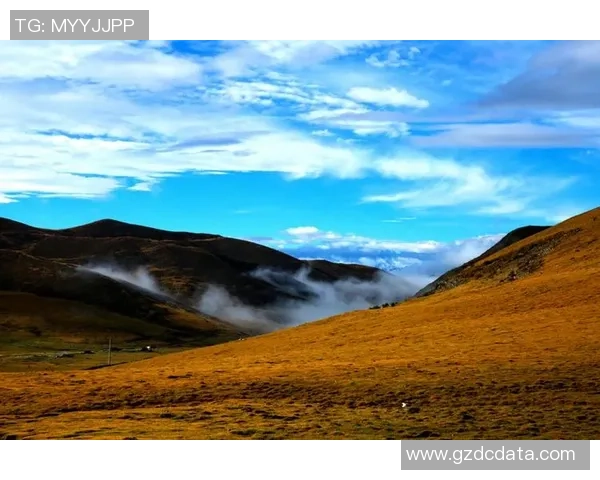 罗凯文的成长之路与人生哲学探索：从平凡到卓越的心灵旅程